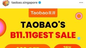 Chinese companies have begun to dominate Southeast Asia’s online shopping market