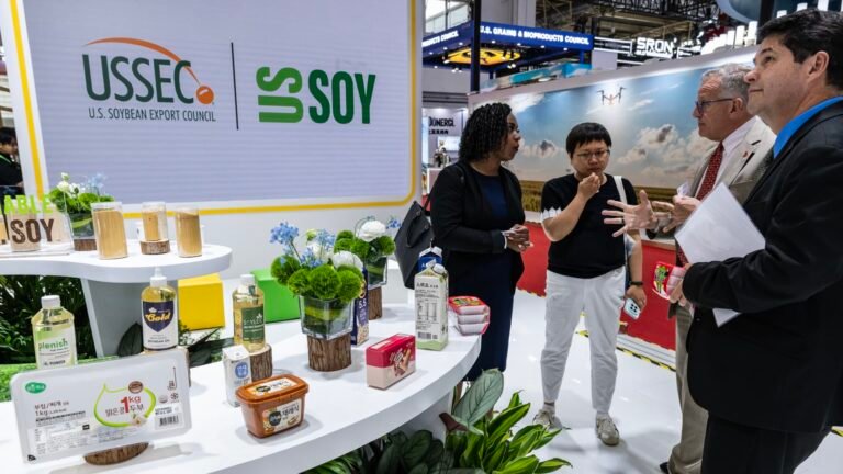 U.S. fights with Brazil for China’s giant soybean market